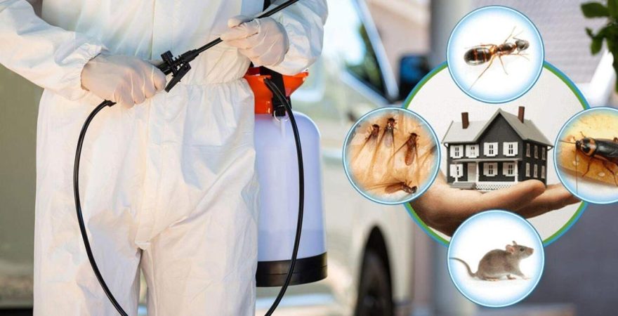 Pasinler Böcek İlaçlama