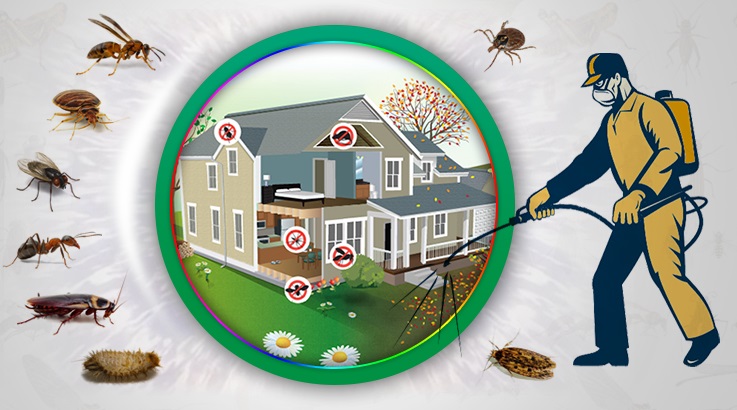 Pasinler Böcek İlaçlama