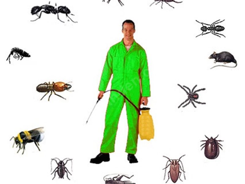 Pasinler Böcek İlaçlama