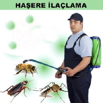 Pasinler Böcek İlaçlama
